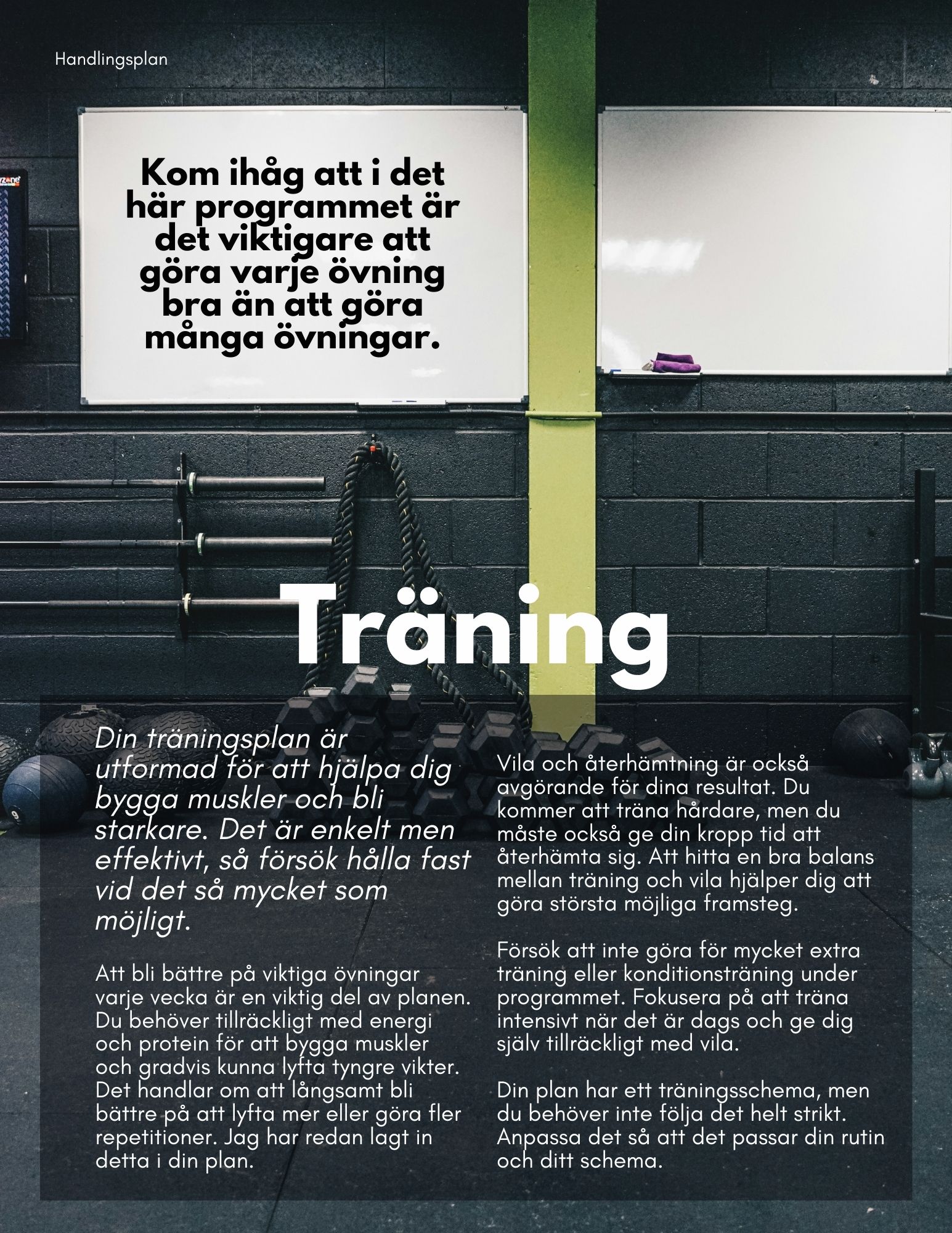 No.1 Muskelprogram (4-8 veckor) - Bild 2