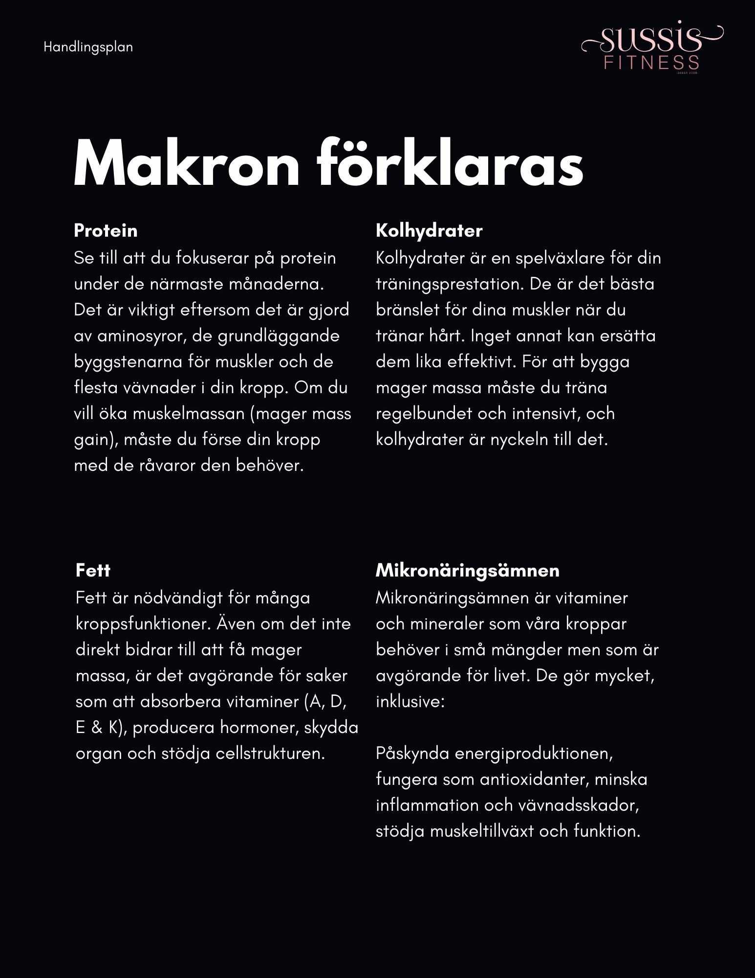 No.1 Muskelprogram (4-8 veckor) - Bild 3