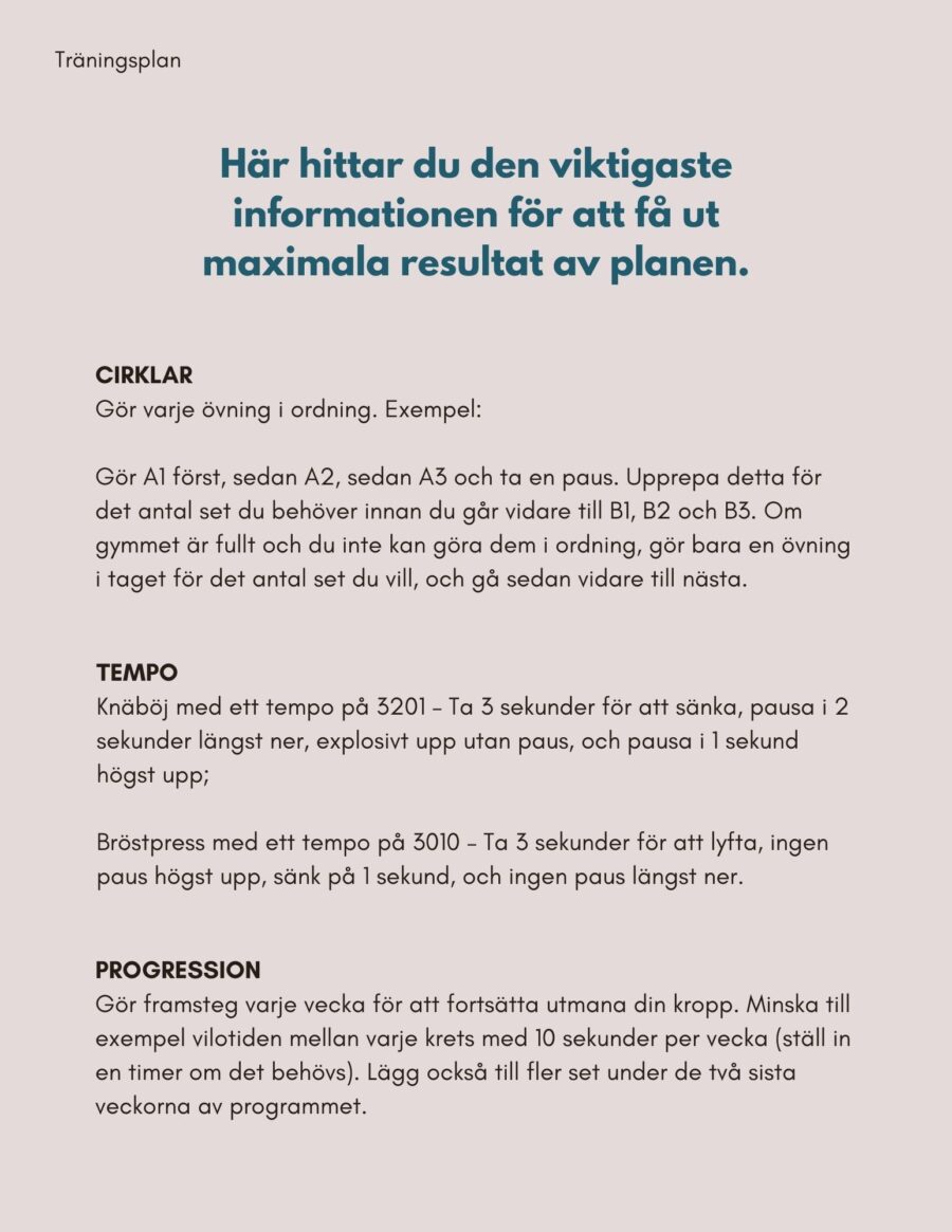 Kickstart - Tappa Fett Öka Styrkan - Bild 4