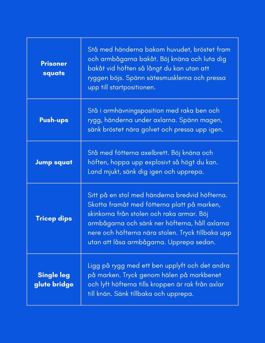 Total Body Blastprogrammet - Träna hemma - Bild 3